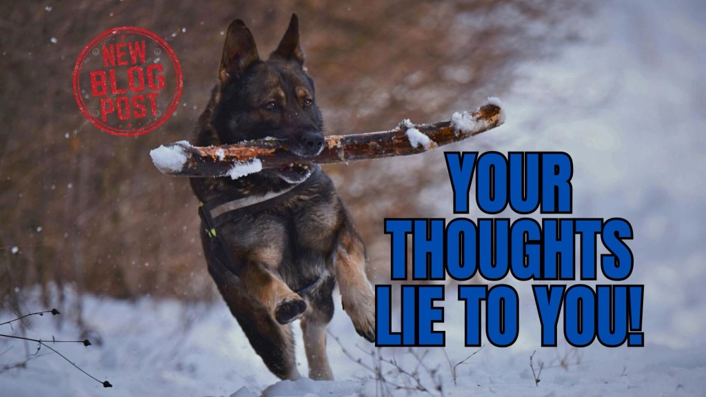 Your Thoughts Lie to&nbsp;You